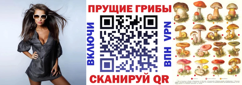 KRAKEN зеркало  Тогучин  Псилоцибиновые грибы ЛСД 